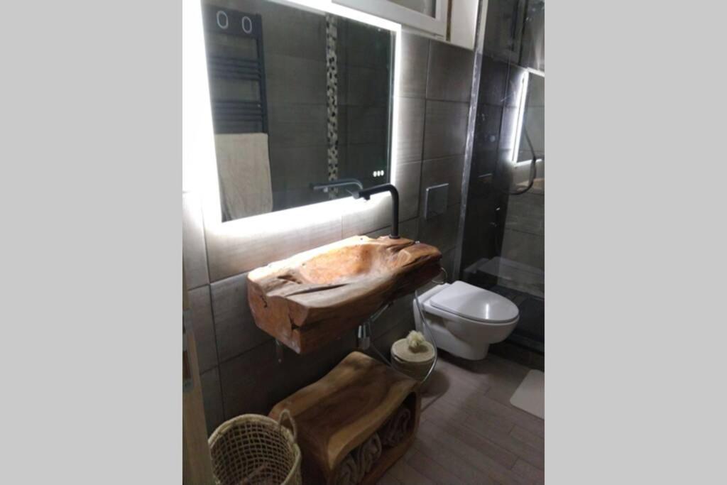 Chaleureux Petit Appartement De 4 Couchages Saint-Étienne-de-Tinée Εξωτερικό φωτογραφία